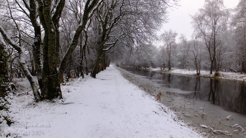 canal-snow-013.JPG