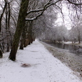 Snowy Monklands Canal