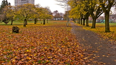 West End Park Autumn Colours