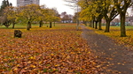 West End Park Autumn Colours