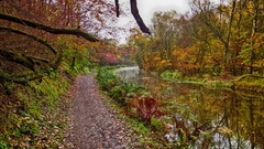 Autumn Colours On The Monklands Canal