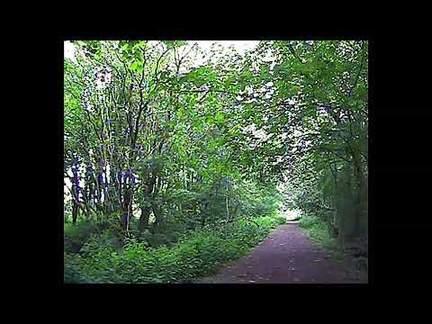 Monklands Canal Walk June 2021 (Part One)