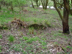 Industrial Archaeology