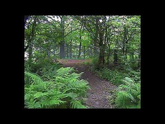 Monklands Canal Walk June 2021 Part Three