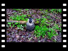 2024 A Year Of The Monkland Canal