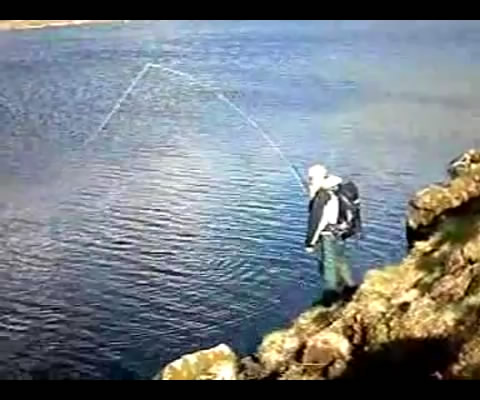 Playing and Landing a Wild Brown Trout