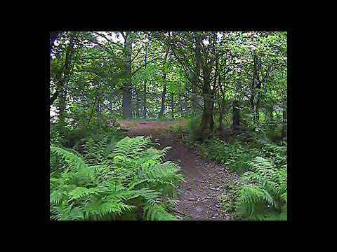 Monklands Canal Walk June 2021 Part Three
