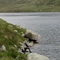 Loch A'an Catching Brown Trout
