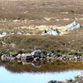 The Campsite Beside Loch Ba