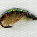 green-backed-shrimp-001.jpg