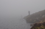 Angler in the Mist