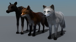 Foxes and Moose Calf LAMH Catalyzer