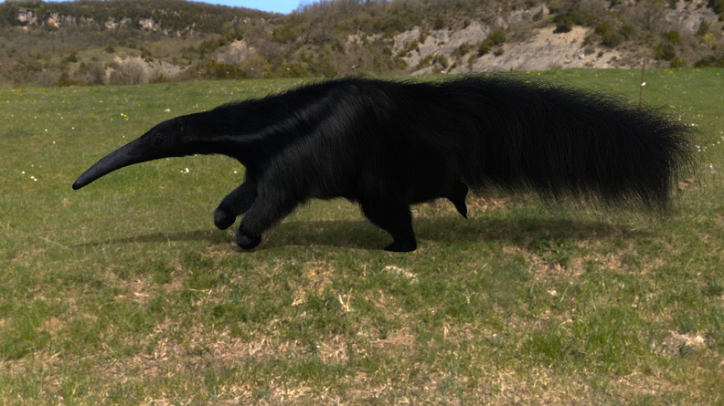 catalyzer-giant-anteater-002.jpg