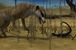 meerkat-dinner-001