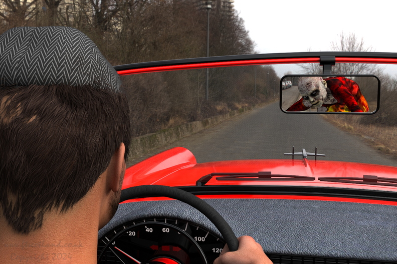 rearview-mirror-004.jpg
