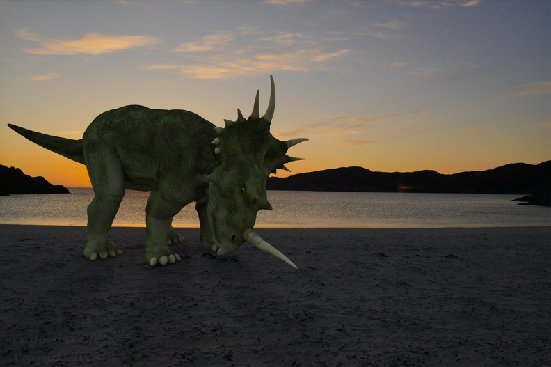styracosaurus-achmelvich-beach-002.jpg