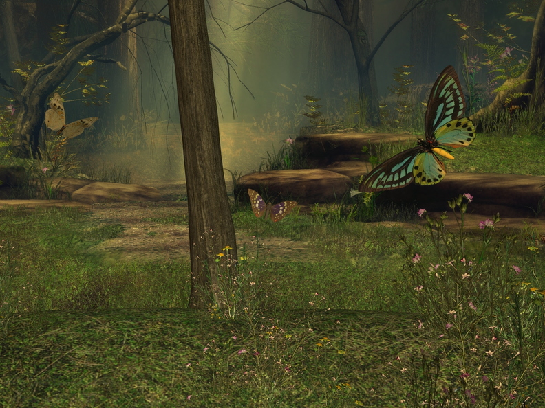 butterfly-glade-003.jpg