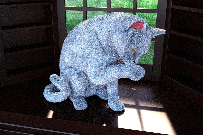 cat-in-window-ff12-012.jpg