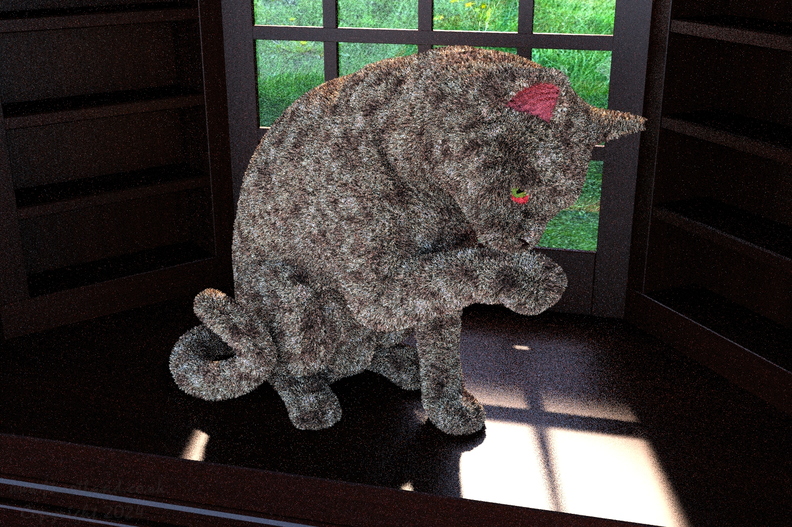 cat-in-window-ff16-015.jpg