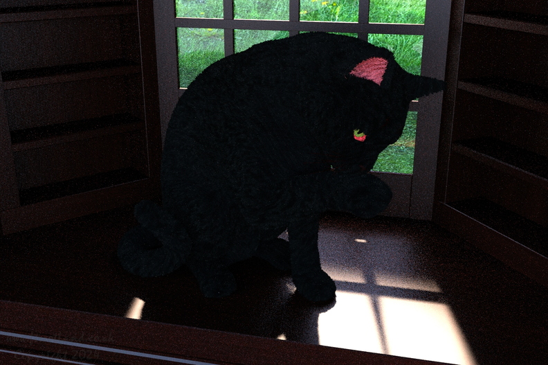cat-in-window-ff17-016.jpg