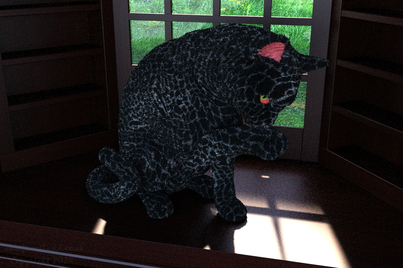 cat-in-window-ff18-017.jpg
