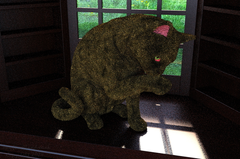 cat-in-window-ff24-021.jpg
