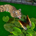 tiger-and-butterfly-002