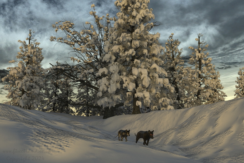 winterland-wolf-trail-001.jpg