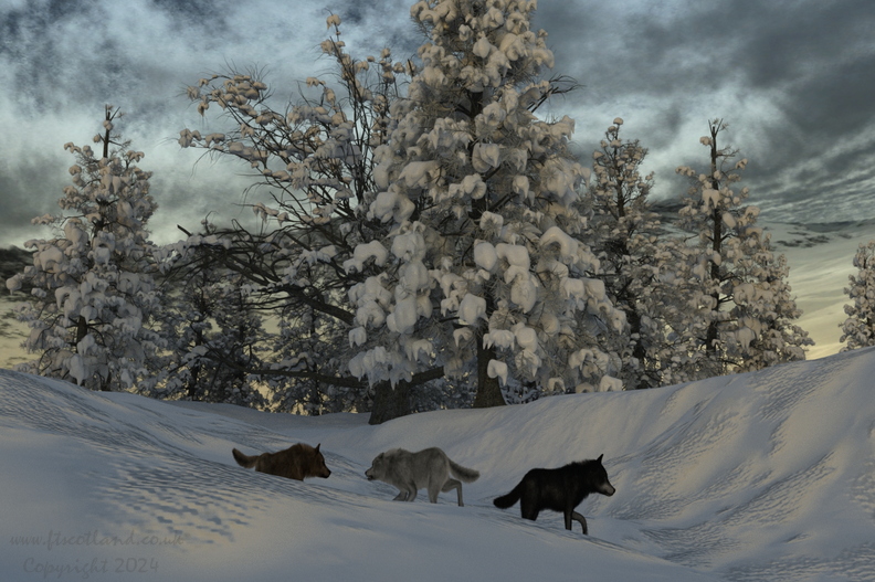 winterland-wolf-trail-002.jpg