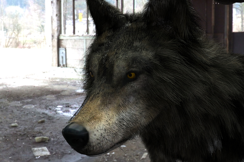 wolf-fiberhair-head-001.jpg