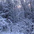 drumpellier-snow-017.jpg