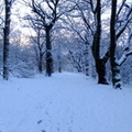 drumpellier-snow-020.jpg