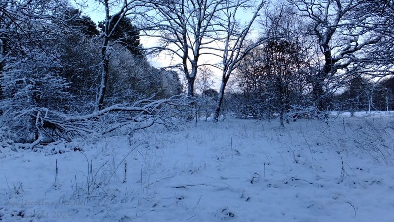 drumpellier-snow-021.jpg