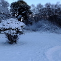 drumpellier-snow-026.jpg