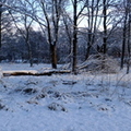 drumpellier-snow-029.jpg