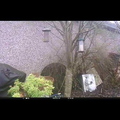 Garden Cam