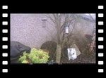 Garden Cam
